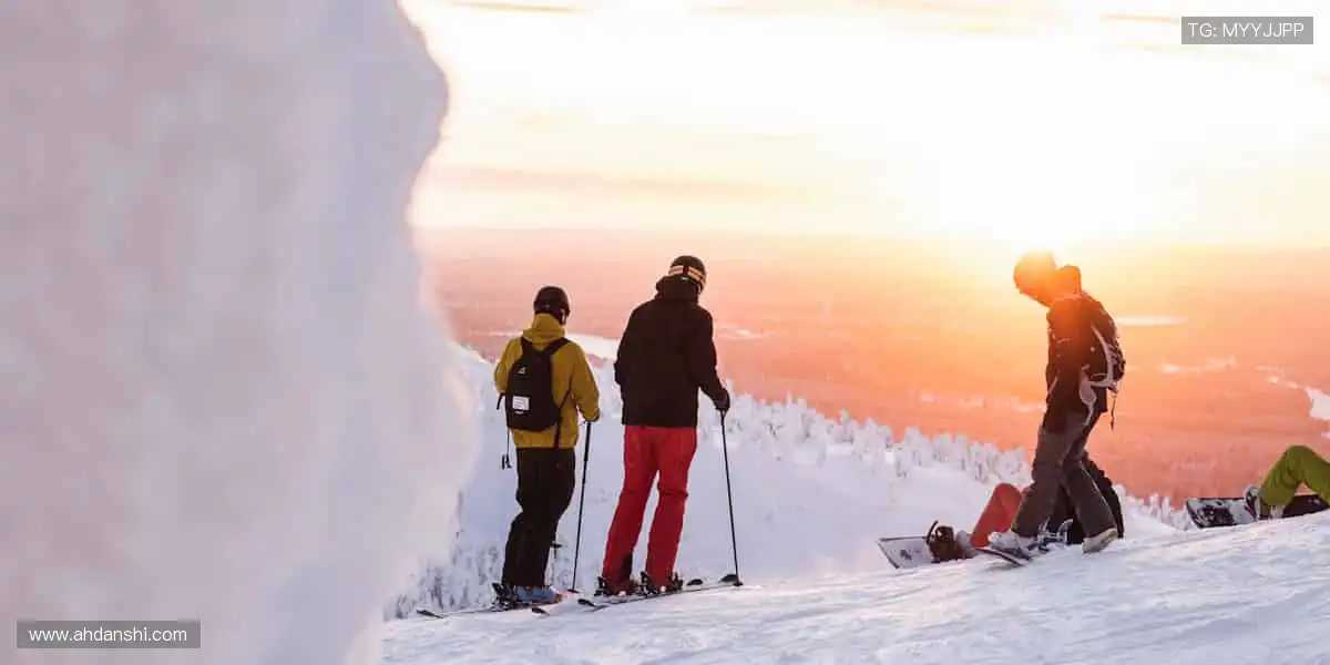 🏆官方正品,解锁你的运动潮流!🎁